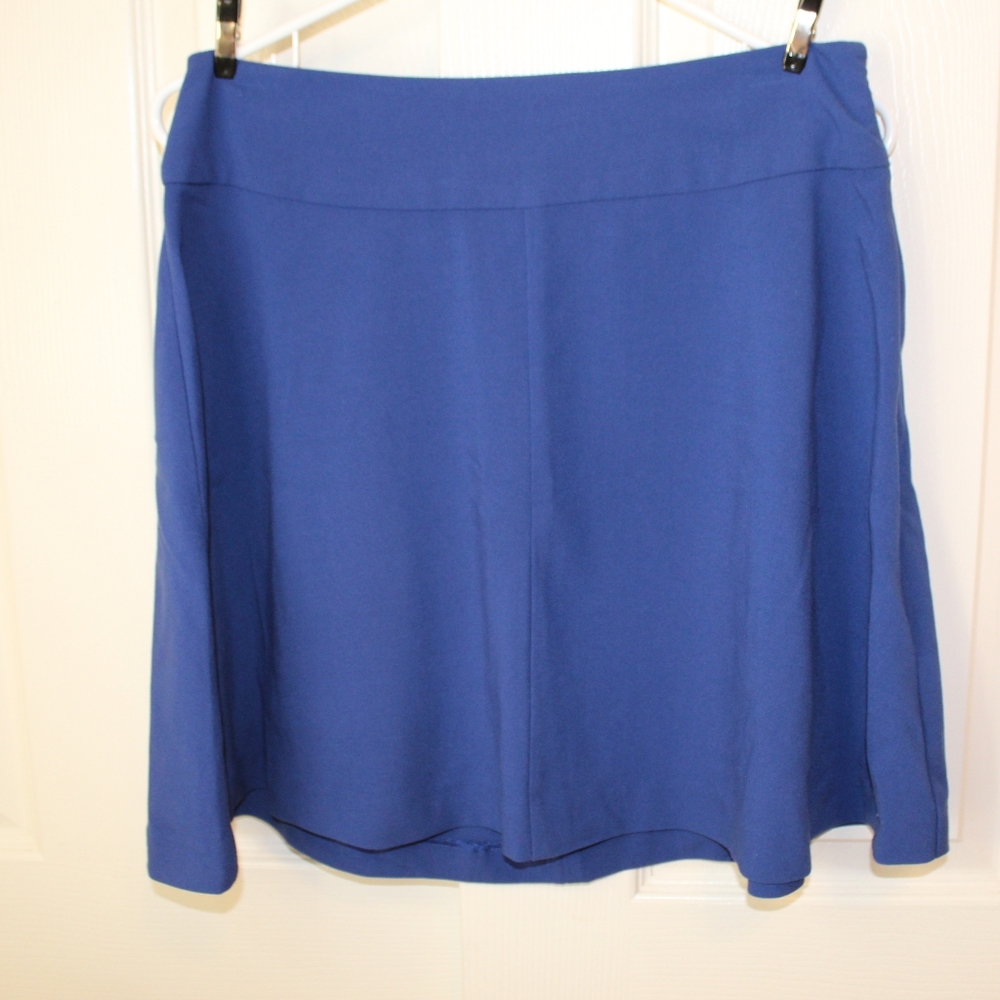 Blue skater skirt